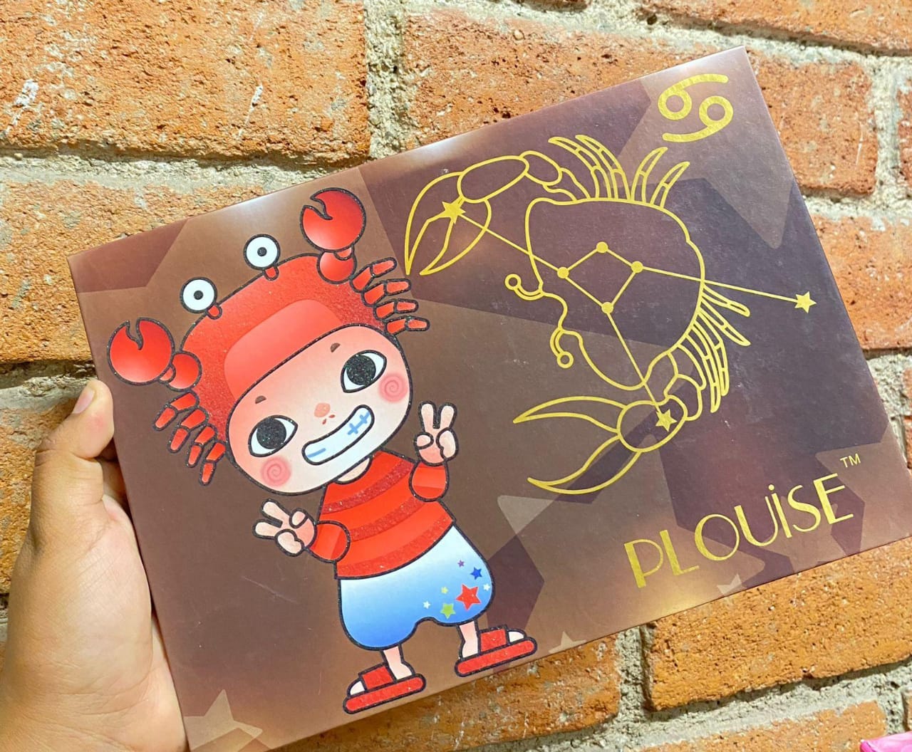 PALETA DE SOMBRAS T006